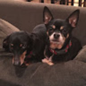 Meet your Posher, Aidan